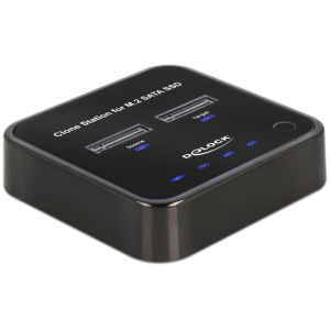 DELOCK docking station 64178, clone function, 2x M.2 SATA, 6Gbps, μαύρο