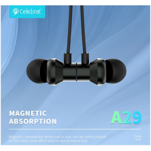 A29 BK
