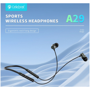 A29 BK
