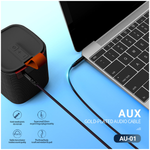 AU 01 BK