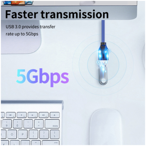 5210131130704
