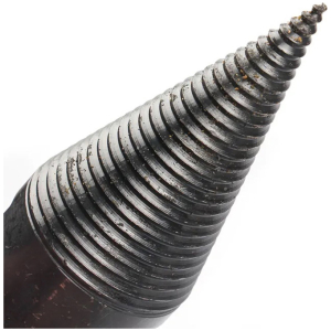 NZ19