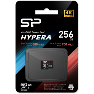 SP256GBSTEI31V10