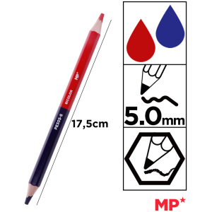 PE305